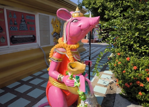 ワットサマーンラッタナーラーム＿ピンクガネーシャ